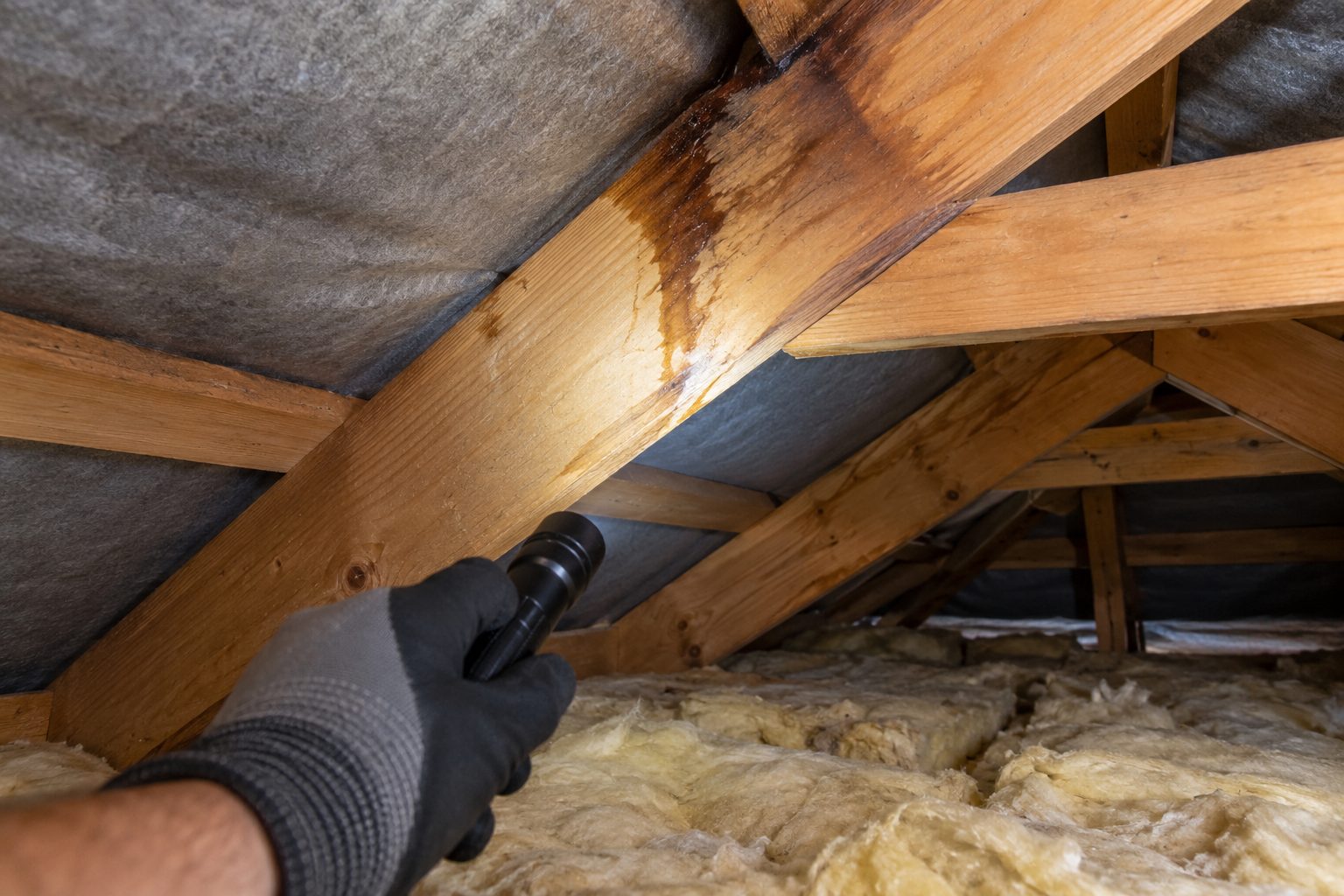 Roof Repair Canberra Roof Repairs